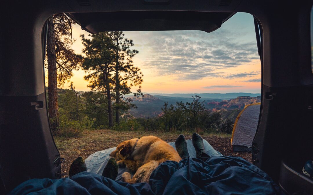 Tips on How to Keep Your Puppy Safe When Camping